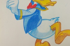 The Donald Duck