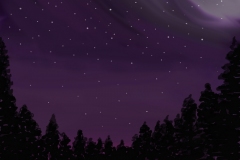 The Night Sky