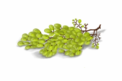 Green Grapes